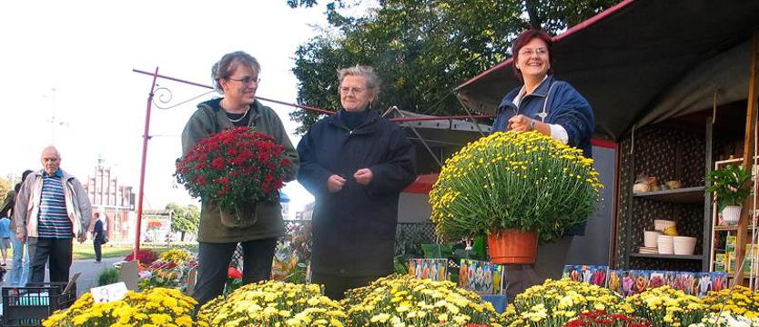 Alei kwiatowej dawno miniony urok