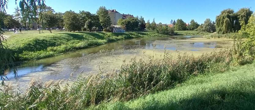 Na oczyszczenie Słonecznego potrzebne są miliony. Wody Polskie: „oczekujemy na uzyskanie środków finansowych”