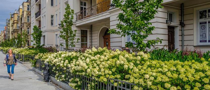 Gdzie powstaną kolejne przedogródki?