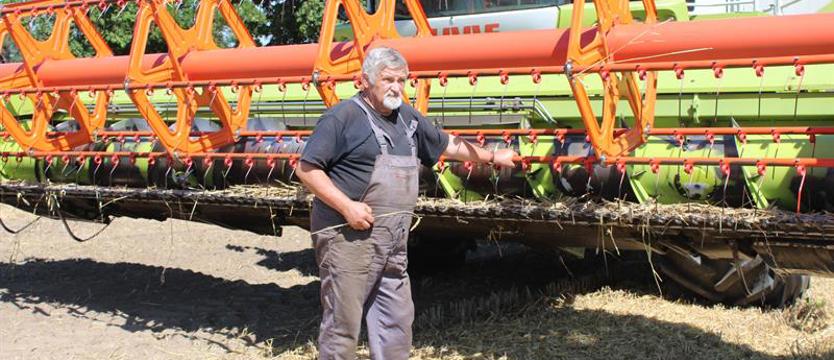 Kombajny już na polach. Jakie będą zbiory w tym roku?