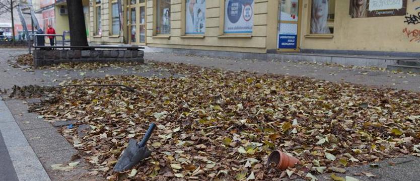 W alei Wyzwolenia. Miały być pawilony, hula tylko wiatr