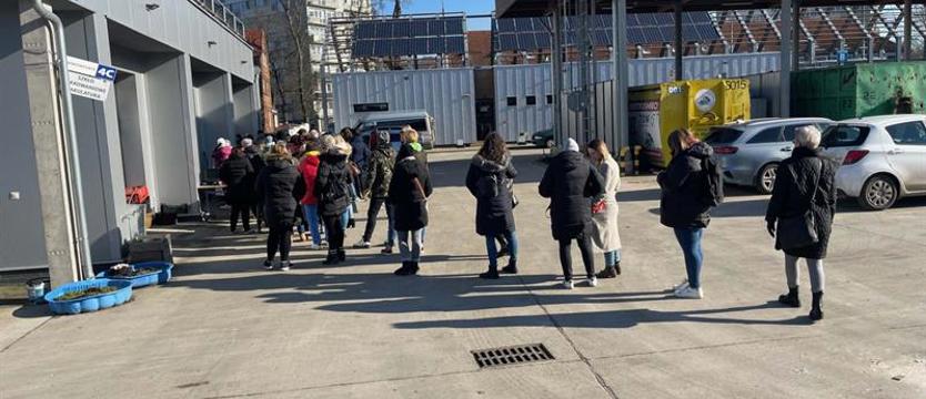 Szpargałek oblegany. Łowcy skarbów znowu pomogli