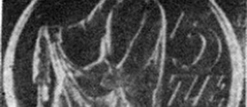 Zapisane w „Kurierze” (25-27.11. 1958)