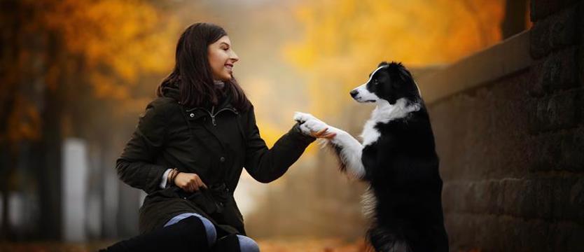 Półfinalistka „Mam Talent” pochodzi z Wałcza