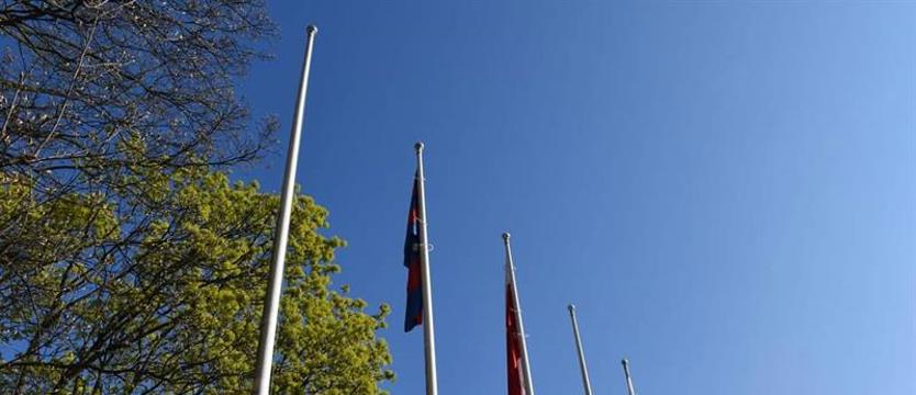 Bezczelność czy głupota? Ukradli flagi...