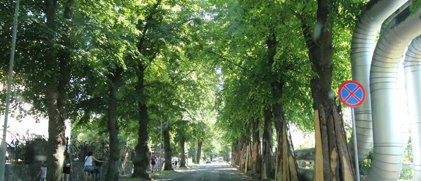 Drogowcy w uzdrowisku. Nieprzejezdna główna arteria Kołobrzegu