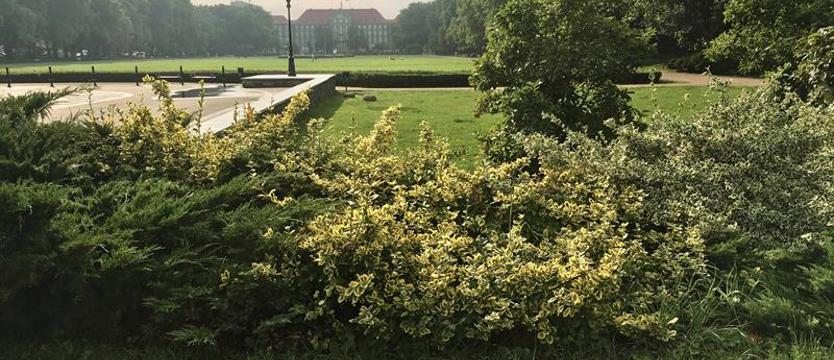 Przetarg częściowo (nie) do rozstrzygnięcia?