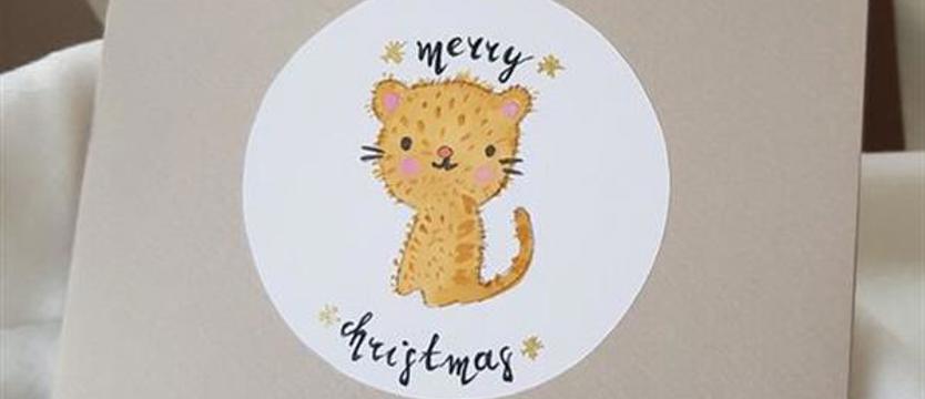 Paczka dla zwierzaczka. Akcja charytatywna Towarzystwa Opieki nad Zwierzętami