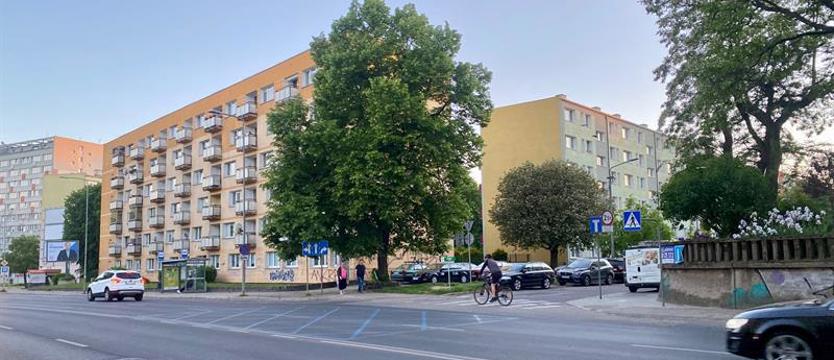 Ścieżka rowerowa i nasadzenia. Pięć miesięcy na prace