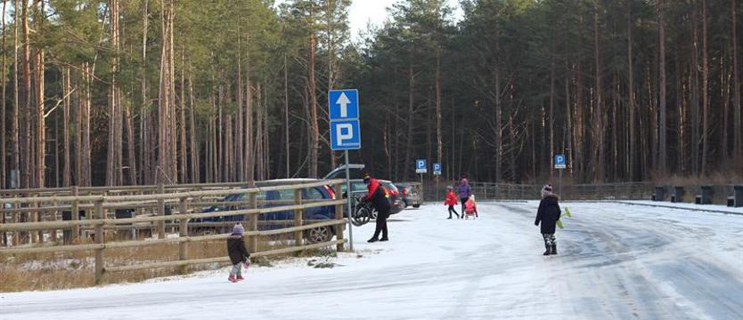O porcie uniwersalnym nie było mowy? Prezydent Świnoujścia zaskoczony