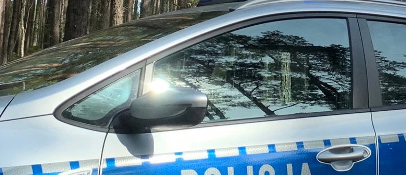 Trzy osoby zginęły w wypadku na drodze krajowej nr 20