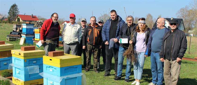 150 lip i 100 jarzębów dla dobra pożytecznych owadów i ludzi. Dbajmy o pszczoły!