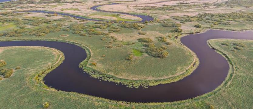 Pozorny spór o Międzyodrze. „Tak” dla rewitalizacji i parku narodowego