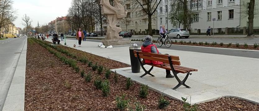 W ogniu krytyki: brak drzew, retencji i nudna monokultura nasadzeń. Zielone pasy „betonozy”