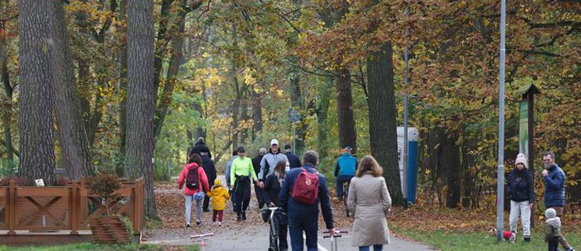 Słoneczny listopad w Szczecinie