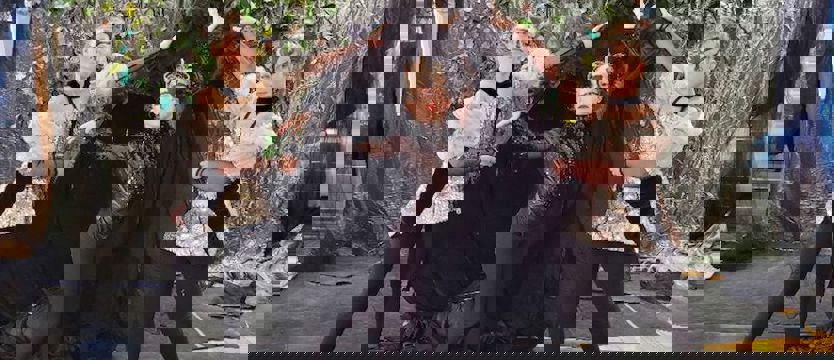 Wsłuchaj się w szum wiatru, szelest drzew... Spektakl o zaczarowanym lesie już w sieci!