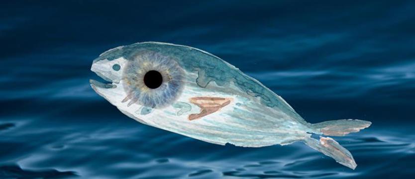 Młody jazz w Winyle.fm - wygraj bilety!