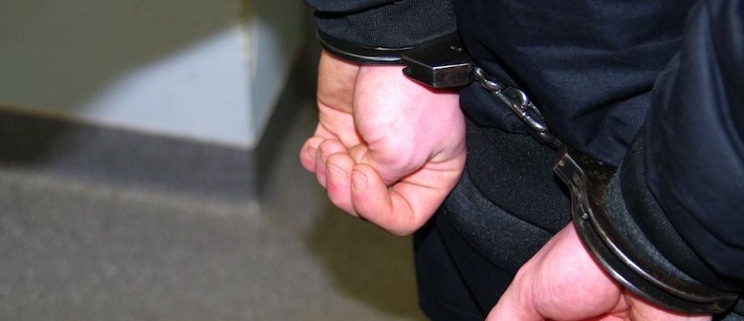 Poszukiwany czerwoną notą Interpolu zatrzymany w Szczecinie