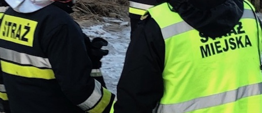 Dymy nad działkami przy Wiśniowym Sadzie. Skończyło się mandatem