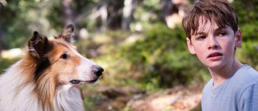Lassie wraca. Chłopiec i zwierzę zrobią wszystko, żeby znowu być razem