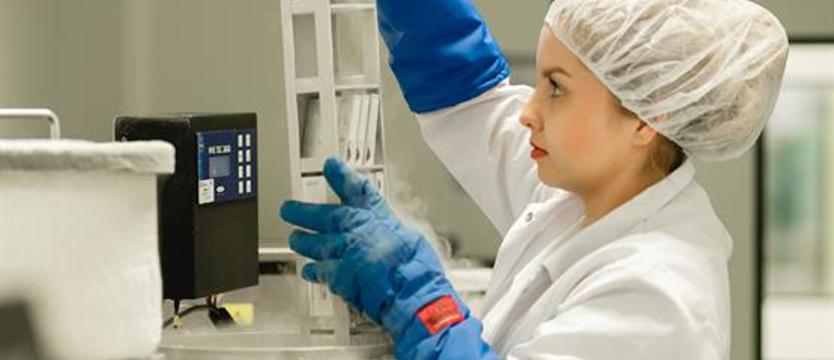 Akcja w szczecińskim szpitalu. Przekazują krew pępowinową, by ratować innych