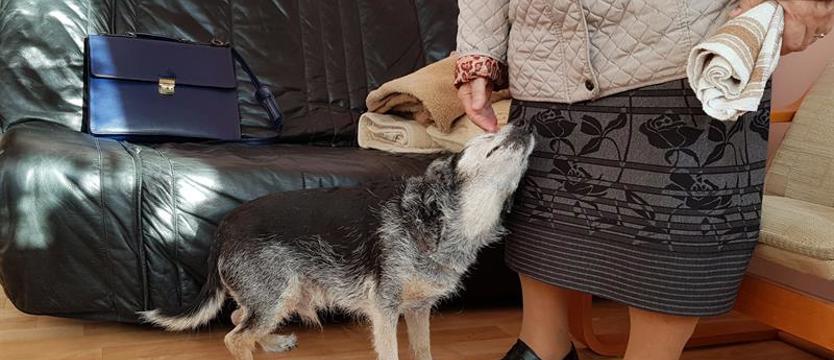 „Weź mnie KURIEREM do domu”. Przyjaciel idealny