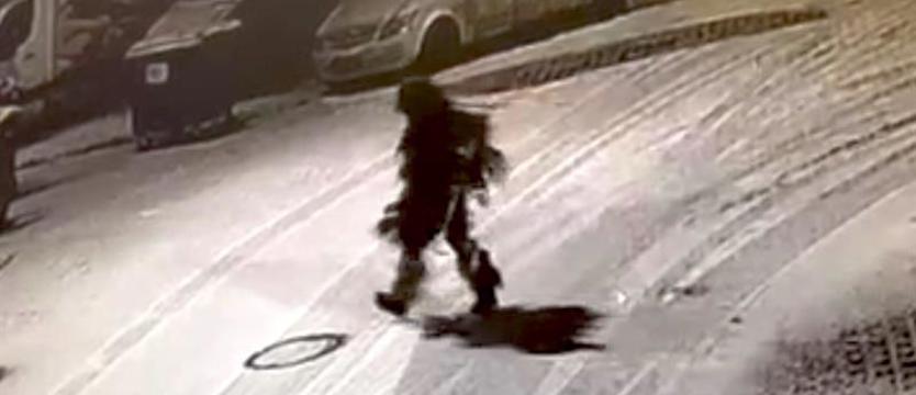 Policja złapała "człowieka - choinkę". Grozi mu do 7,5 roku więzienia