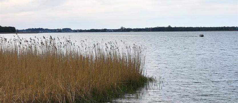 Julek wystartował na Jamnie. Przewiezie turystów