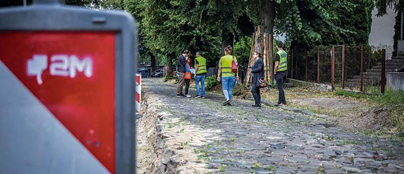 Na placu miejskiej inwestycji. Walczą o zachowanie drzew