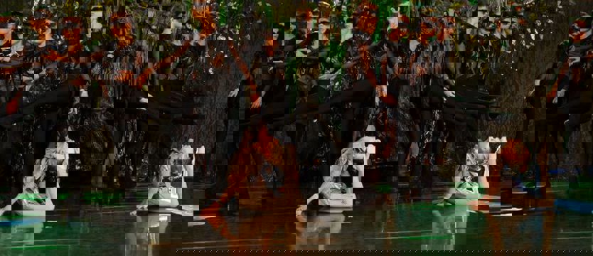 Szczecinianie z nominacją do mistrzostw Europy i świata. Brawa dla Impactu!