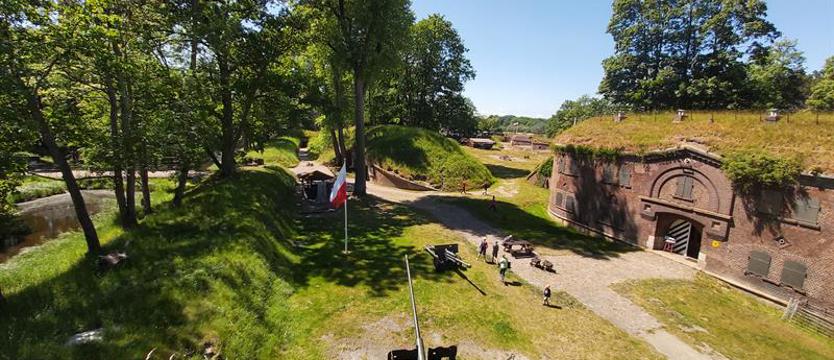 W forcie powstanie… pieczarkarnia? „Zyski spadły, więc trzeba się przebranżowić”