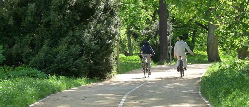 Wielkie nadzieje – ograniczone deklaracje. Na pomoc parkowym alejom