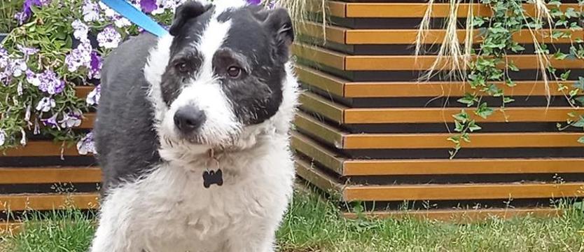 Weź mnie KURIEREM do domu. Poznaj Garego