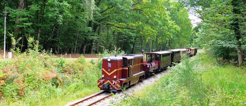 Już niebawem stuknie jej 80 lat. Ciuchcia wciąż atrakcyjna