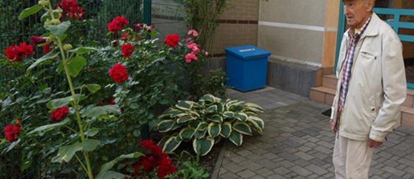 Finaliści konkursu „Cały Szczecin w kwiatach”. Z miłości do kwiatów