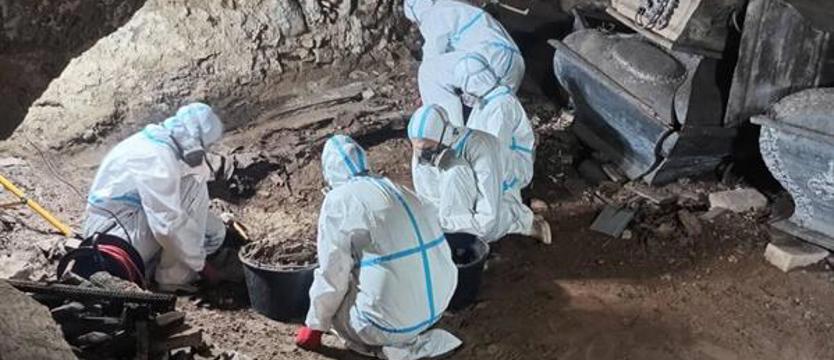 Krypty Krępcewa pod lupą naukowców. Archeolodzy prowadzą badania w kościele