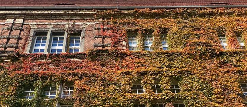 Certyfikaty za ponad 40 tysięcy