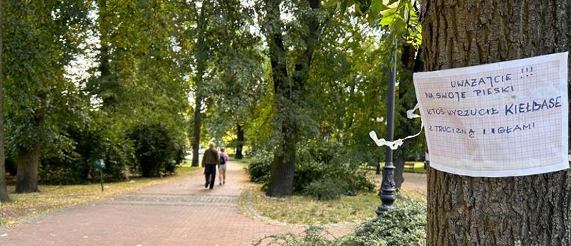 Kiełbasa z niebezpieczną wkładką. Znów ktoś truje zwierzęta w Szczecinie