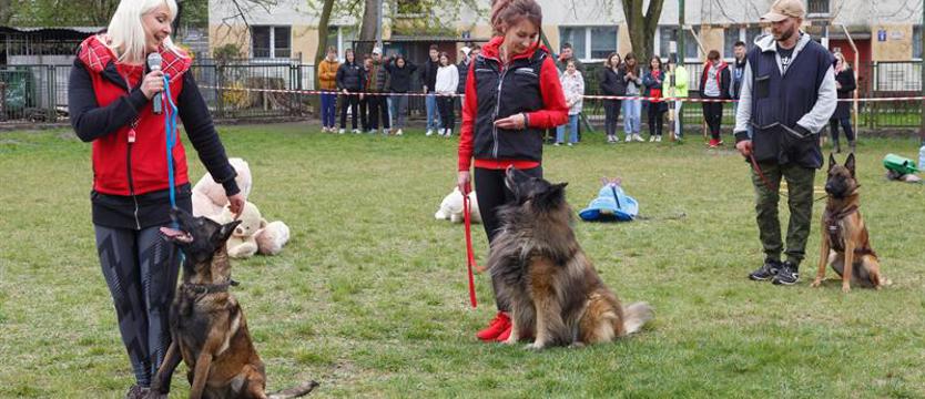 Na sportowo z czworonogiem. Niecodzienni goście w Centrum Mistrzostwa Sportowego