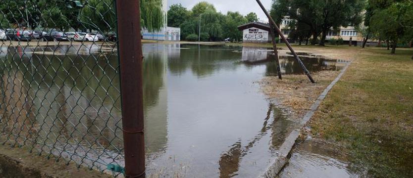 Inwentaryzacje i dialog z magistratem. Duklanowski: „Anomalii pogodowych nie zatrzymamy”