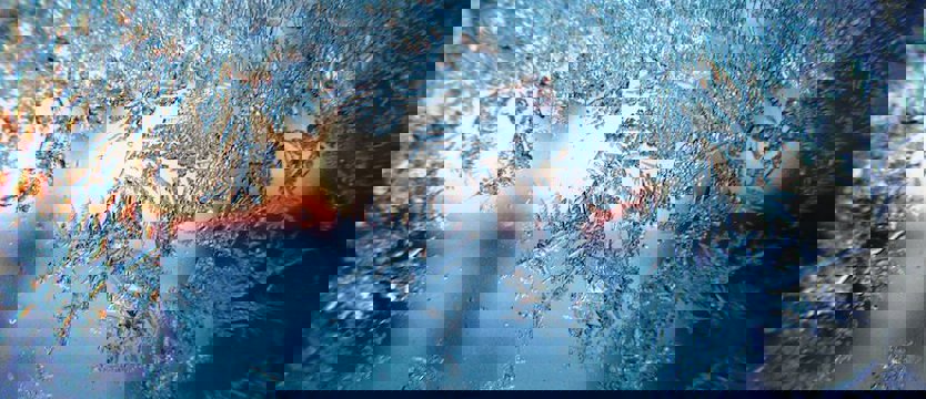 Synoptycy ostrzegają. Kolejna mroźna noc w regionie, cieplej tylko nad morzem