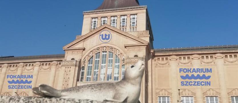 Żartowali nieliczni – oto subiektywny przegląd. Primaaprilisowa posucha