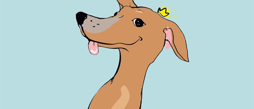 W szczecińskiej filharmonii. Figa z makiem