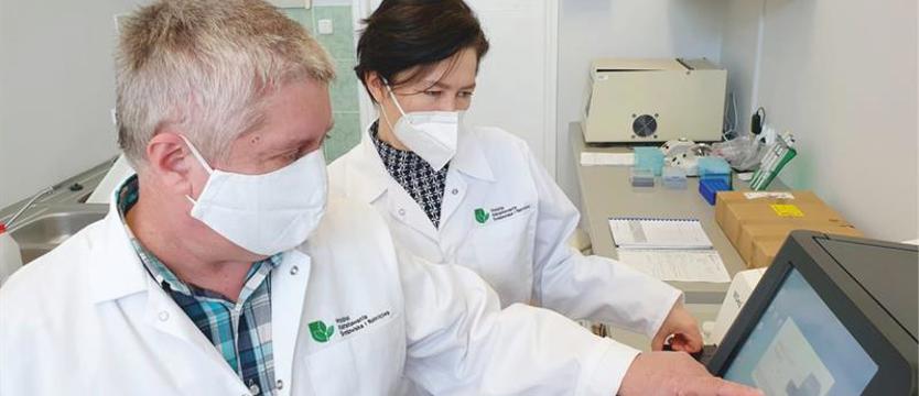 Znamy genom żyta! Szczecińscy naukowcy świętują sukces