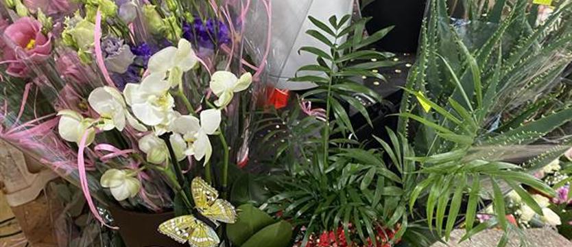 Jak się mają kwiaciarnie? Pasja w niełatwej branży