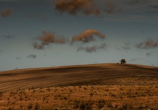 Pierwszy kolorowy quiz