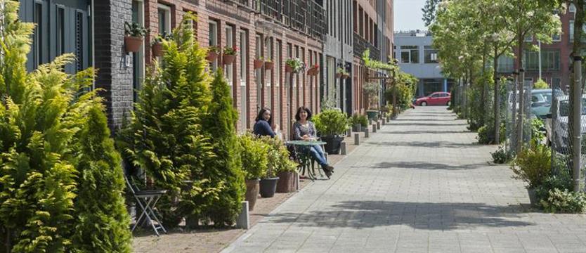 Szansa na zielone ściany