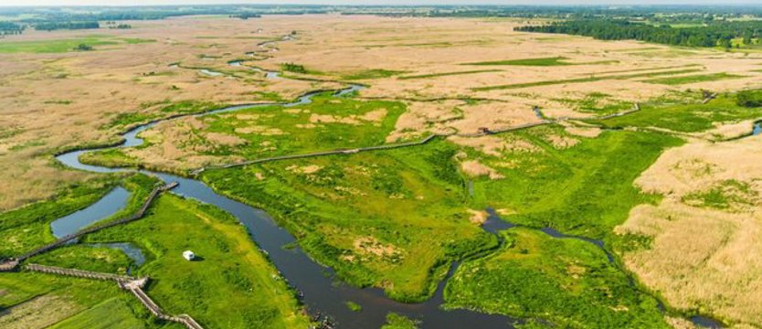 PGE wspiera Magurski Park Narodowy oraz Narwiański Park Narodowy