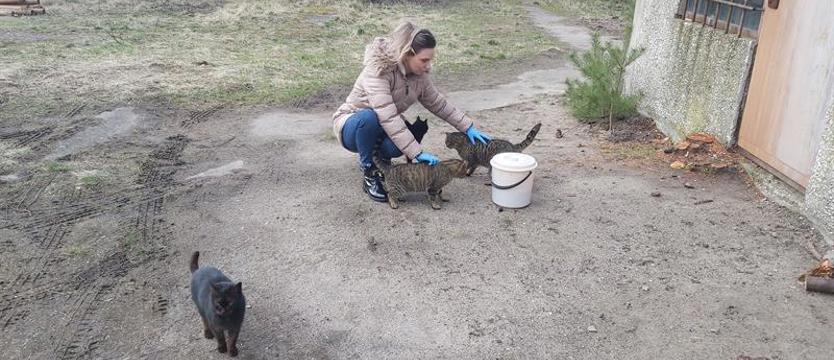 Miasto pomaga ludziom i zwierzętom. Wsparcie (karmą) przed zimą