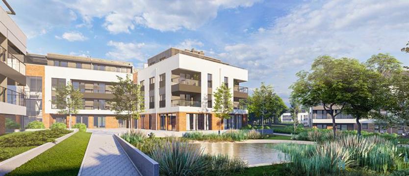 Nowe osiedle na północy Szczecina. Domy w miejscu drzew?